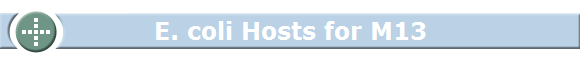 E. coli Hosts for M13 ... Shift+R improves the quality of this image. CTRL+F5 reloads the whole page.